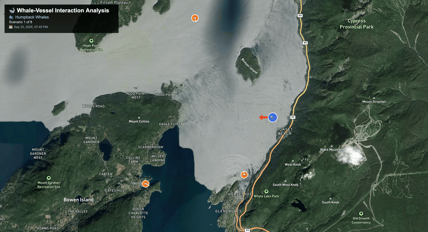 Whale-vessel interaction analysis using real-time data